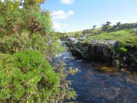 Im Dartmoor &ndash; &copy; Anne Sturm (Eberhardt TRAVEL)