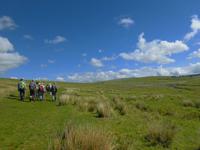 Im Dartmoor &ndash; &copy; Anne Sturm (Eberhardt TRAVEL)