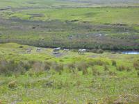 Im Dartmoor &ndash; &copy; Anne Sturm (Eberhardt TRAVEL)