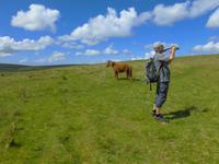 Im Dartmoor &ndash; &copy; Anne Sturm (Eberhardt TRAVEL)