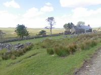 Im Dartmoor &ndash; &copy; Anne Sturm (Eberhardt TRAVEL)