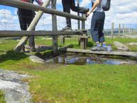 Im Dartmoor &ndash; &copy; Anne Sturm (Eberhardt TRAVEL)