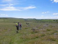 Im Dartmoor &ndash; &copy; Anne Sturm (Eberhardt TRAVEL)