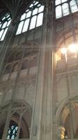 in der Kathedrale von Gloucester &ndash; &copy; Manuela Kreuz (Eberhardt TRAVEL)