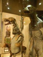 Werwolf-Technik &ndash; &copy; Manuela Kreuz (Eberhardt TRAVEL)