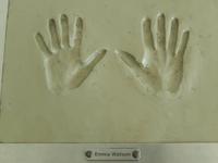 Emma Watsons Handabdrücke (Hermine) &ndash; &copy; Manuela Kreuz (Eberhardt TRAVEL)