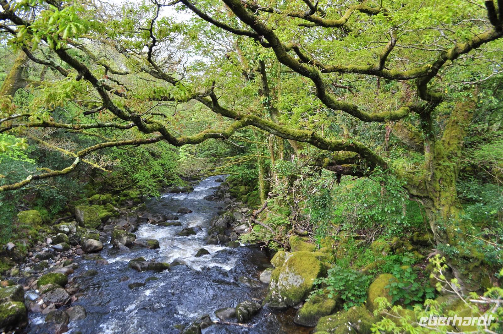 River Plym &ndash; &copy; Martin Büchner (Eberhardt TRAVEL)