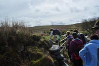 Dartmoor &ndash; &copy; Martin Büchner (Eberhardt TRAVEL)