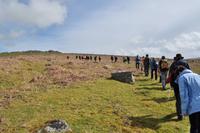 Dartmoor &ndash; &copy; Martin Büchner (Eberhardt TRAVEL)