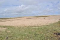 Dartmoor &ndash; &copy; Martin Büchner (Eberhardt TRAVEL)