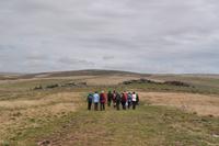 Dartmoor &ndash; &copy; Martin Büchner (Eberhardt TRAVEL)