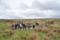 Dartmoor &ndash; &copy; Martin Büchner (Eberhardt TRAVEL)
