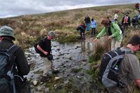 Dartmoor &ndash; &copy; Martin Büchner (Eberhardt TRAVEL)