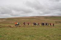 Dartmoor &ndash; &copy; Martin Büchner (Eberhardt TRAVEL)