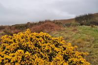 Dartmoor &ndash; &copy; Martin Büchner (Eberhardt TRAVEL)
