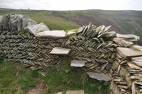 Tintagel &ndash; &copy; Martin Büchner (Eberhardt TRAVEL)