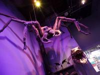 Warnerbros Studios Harry Potter Tour &ndash; &copy; Manuela Kreuz (Eberhardt TRAVEL)