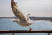 007 &ndash; &copy; Vivien Fiedler (Eberhardt TRAVEL)