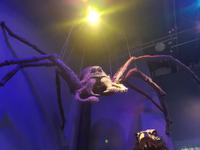 Harry Potter Studios &ndash; &copy; Vivien Fiedler (Eberhardt TRAVEL)