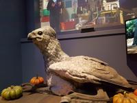 Harry Potter Studios &ndash; &copy; Vivien Fiedler (Eberhardt TRAVEL)