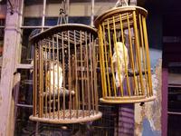 Harry Potter Studios &ndash; &copy; Vivien Fiedler (Eberhardt TRAVEL)