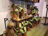 Harry Potter Studios &ndash; &copy; Vivien Fiedler (Eberhardt TRAVEL)