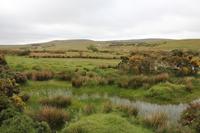 Dartmoor &ndash; &copy; Sylvia Ott (Eberhardt TRAVEL)