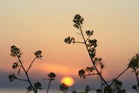 &copy; Sylvia Ott (Eberhardt TRAVEL)