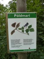 P1170355 &ndash; &copy; Cornelia Ritter (Eberhardt TRAVEL)