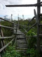 P1170424 &ndash; &copy; Cornelia Ritter (Eberhardt TRAVEL)
