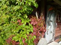 P1170426 &ndash; &copy; Cornelia Ritter (Eberhardt TRAVEL)