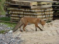 P1170431 &ndash; &copy; Cornelia Ritter (Eberhardt TRAVEL)