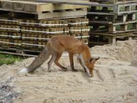 P1170432 &ndash; &copy; Cornelia Ritter (Eberhardt TRAVEL)
