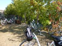 P1170488 &ndash; &copy; Cornelia Ritter (Eberhardt TRAVEL)