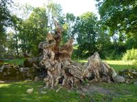 P1170535 &ndash; &copy; Cornelia Ritter (Eberhardt TRAVEL)