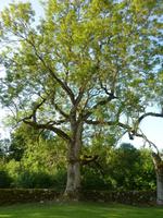 P1170536 &ndash; &copy; Cornelia Ritter (Eberhardt TRAVEL)