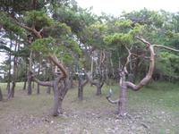 P1170602 &ndash; &copy; Cornelia Ritter (Eberhardt TRAVEL)