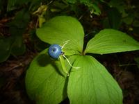 P1170644 &ndash; &copy; Cornelia Ritter (Eberhardt TRAVEL)