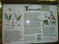 P1170651
