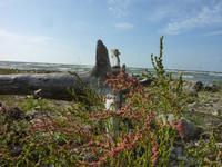 P1170663 &ndash; &copy; Cornelia Ritter (Eberhardt TRAVEL)