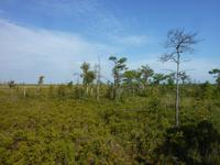 P1170674 &ndash; &copy; Cornelia Ritter (Eberhardt TRAVEL)