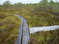 P1170681 &ndash; &copy; Cornelia Ritter (Eberhardt TRAVEL)