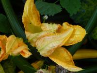 P1170728 &ndash; &copy; Cornelia Ritter (Eberhardt TRAVEL)