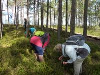 P1170772 &ndash; &copy; Cornelia Ritter (Eberhardt TRAVEL)