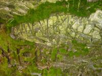 P1170818 &ndash; &copy; Cornelia Ritter (Eberhardt TRAVEL)