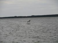 013 Haapsalu &ndash; &copy; Karolin Kühn (Eberhardt TRAVEL)