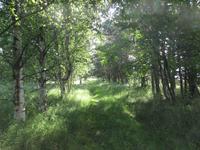 039 Matsalu Nationalpark &ndash; &copy; Karolin Kühn (Eberhardt TRAVEL)