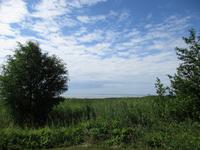 040 Matsalu Nationalpark &ndash; &copy; Karolin Kühn (Eberhardt TRAVEL)