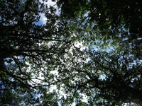 043 Matsalu Nationalpark &ndash; &copy; Karolin Kühn (Eberhardt TRAVEL)