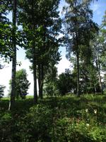 047 Matsalu Nationalpark &ndash; &copy; Karolin Kühn (Eberhardt TRAVEL)